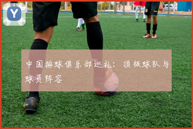 中国排球俱乐部巡礼:顶级球队与球员阵容