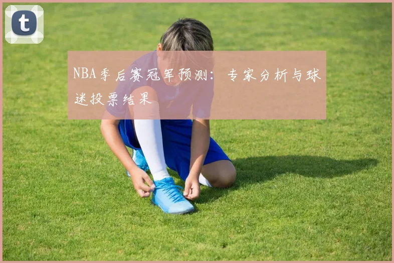 NBA季后赛冠军预测：专家分析与球迷投票结果