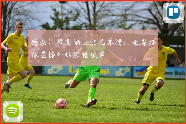 感动！绿茵场上的兄弟情，世界杯球星榜外的温情故事