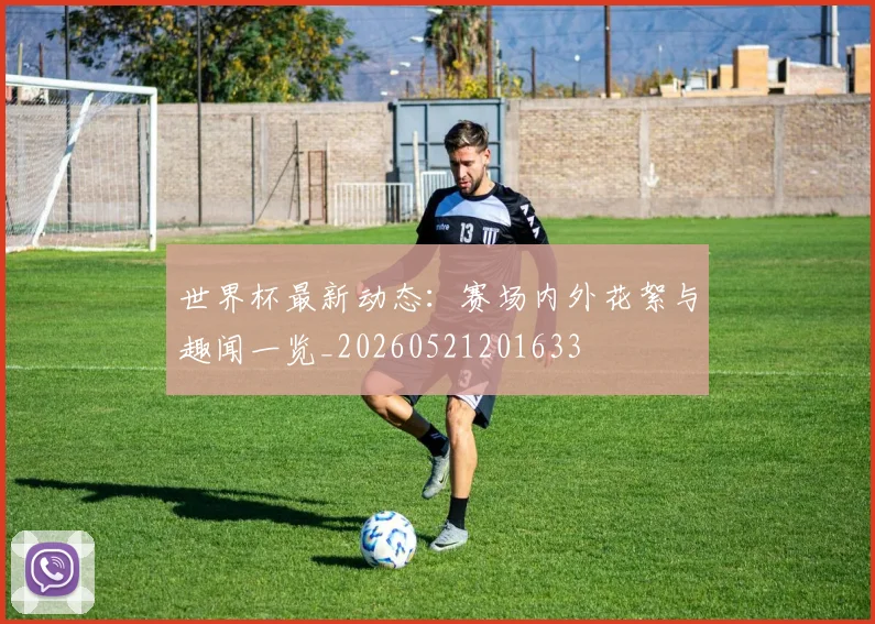 世界杯最新动态:赛场内外花絮与趣闻一览_20260521201633