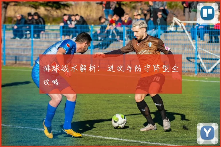 排球战术解析：进攻与防守阵型全攻略