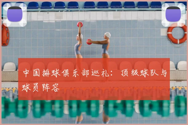 中国排球俱乐部巡礼：顶级球队与球员阵容