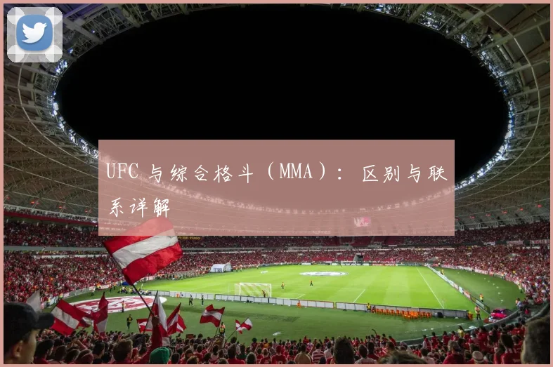 UFC 与综合格斗（MMA）：区别与联系详解